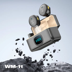 Wireless Mic WM-11