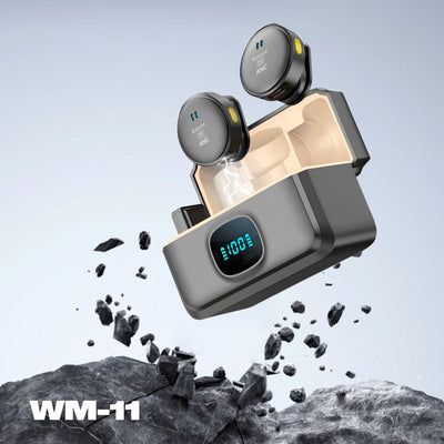 Wireless Mic WM-11