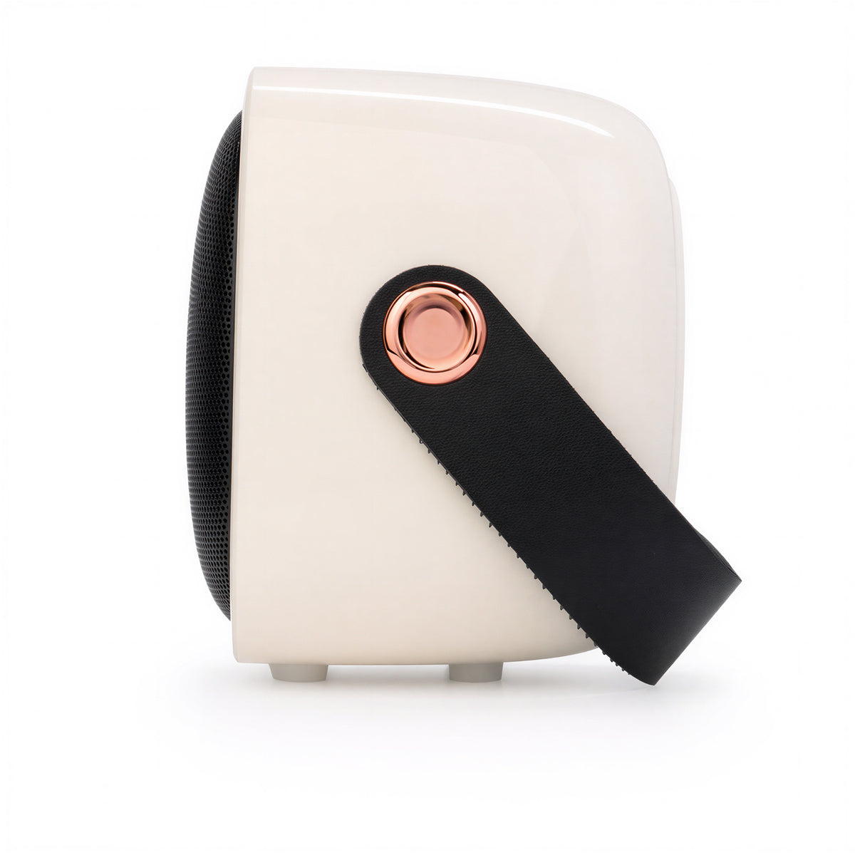 Sargam wireles Speaker