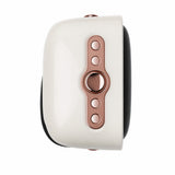 Sargam wireles Speaker